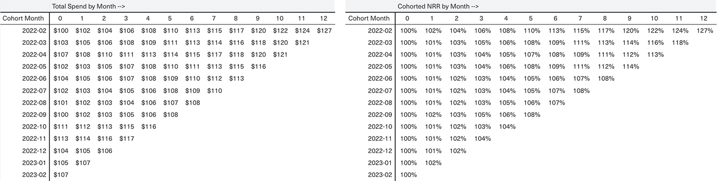 Two tables: the first one showing a cohorted version of annual revenue retention and the second displaying cohorted net revenue retention.