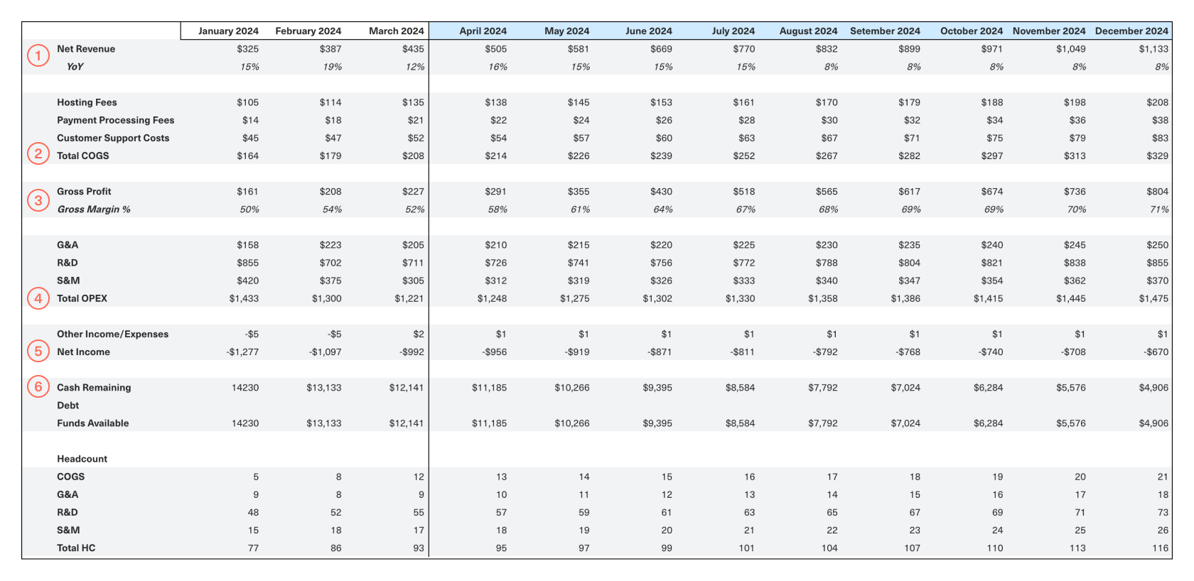 Example of a SaaS P+L sheet.