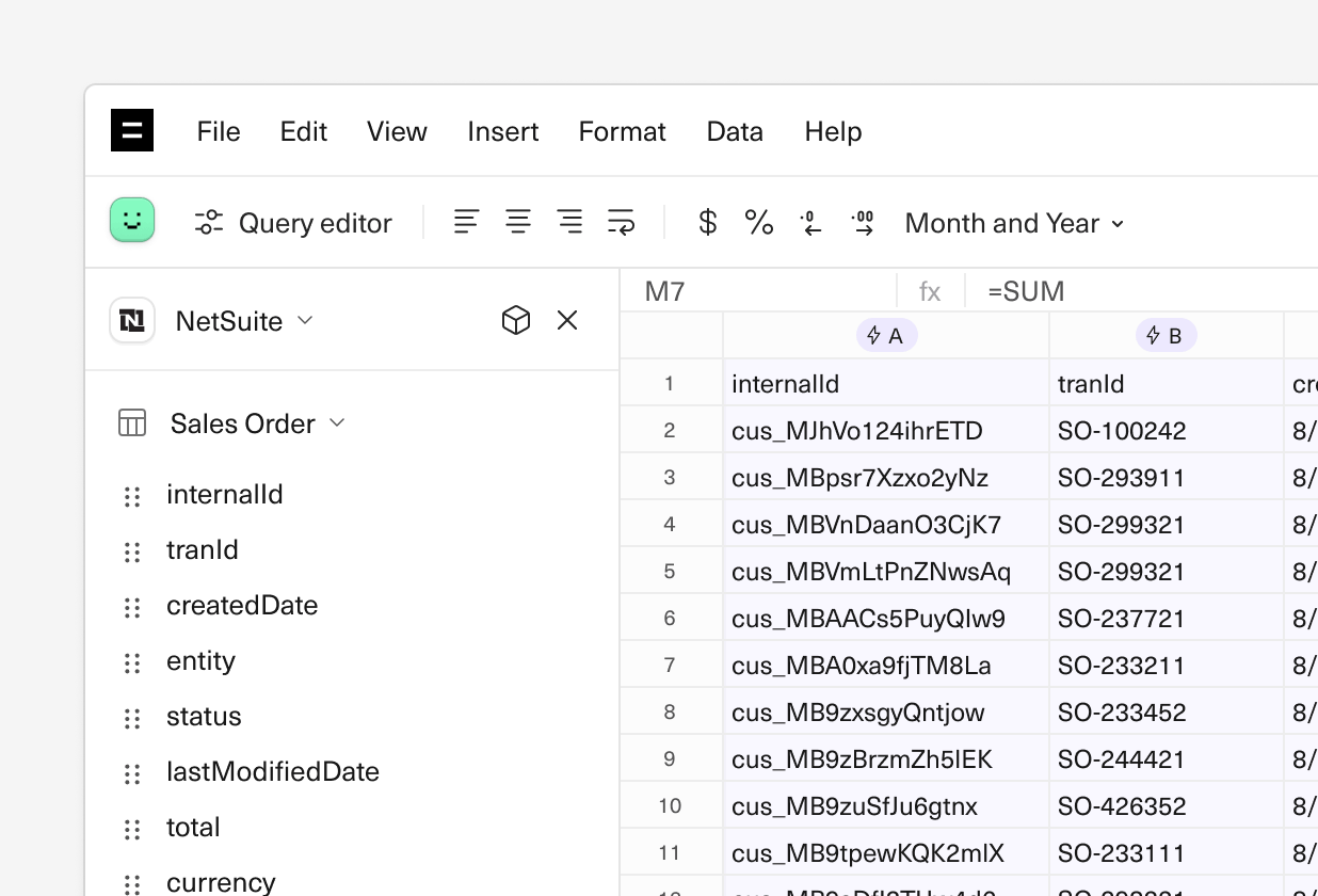 An image of NetSuite data in an Equals spreadsheet.